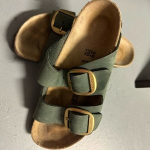 Arizona Big Buckle Leather Thyme